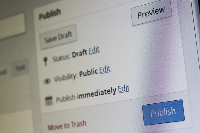 Word Press SEO